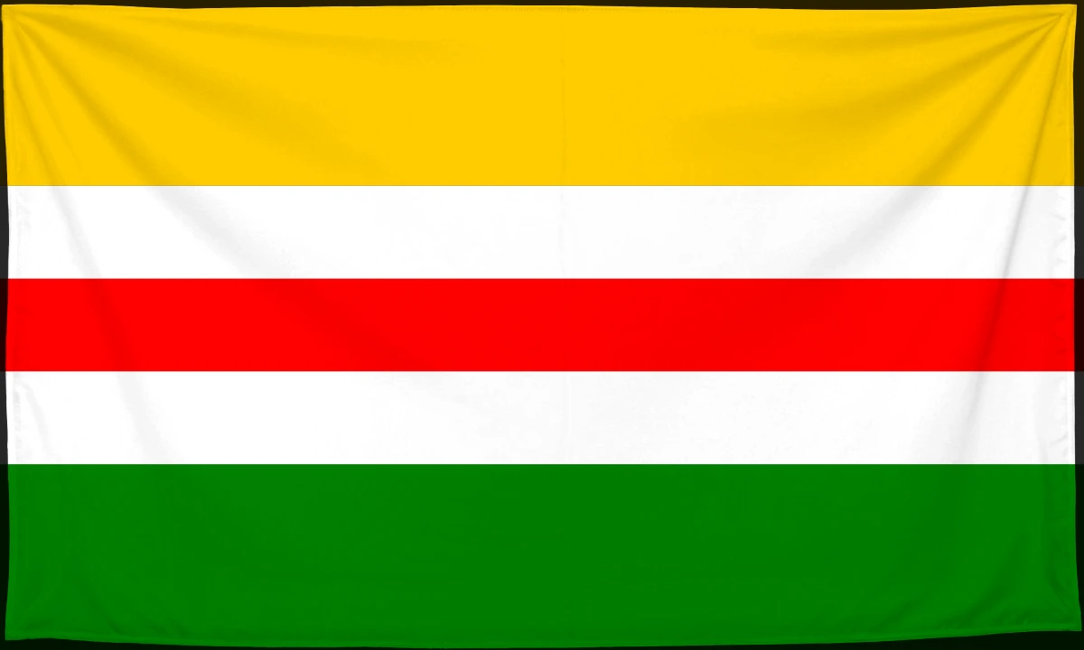 Флаг: Вышкувский повет